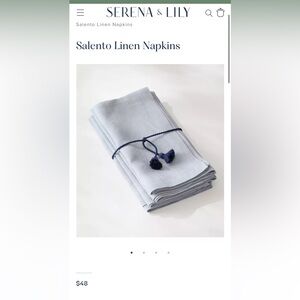 Serena and Lily Salento Napkin - coastal blue set of 4